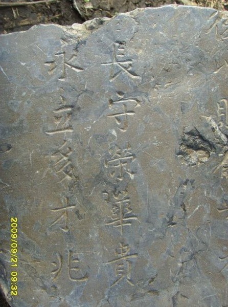 tian_9033_4574829d3370bf8027e9.jpg