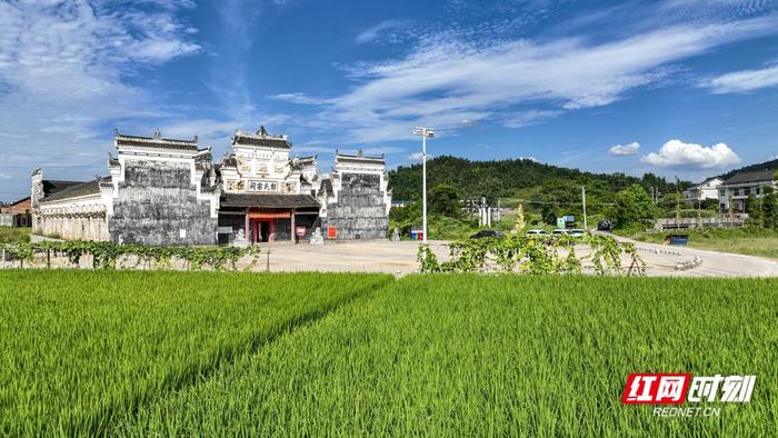 worldpeng_070acfd13c82b83ad8_00.jpg