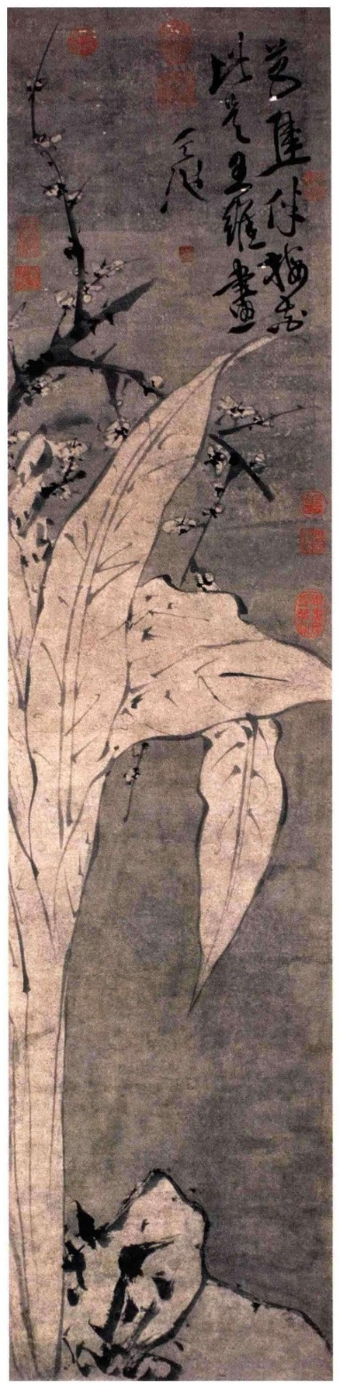 《徐渭书画全集》 绘画卷 梅花蕉叶图.png