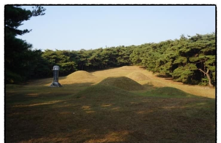 경북 경산시 유곡동 신지.png