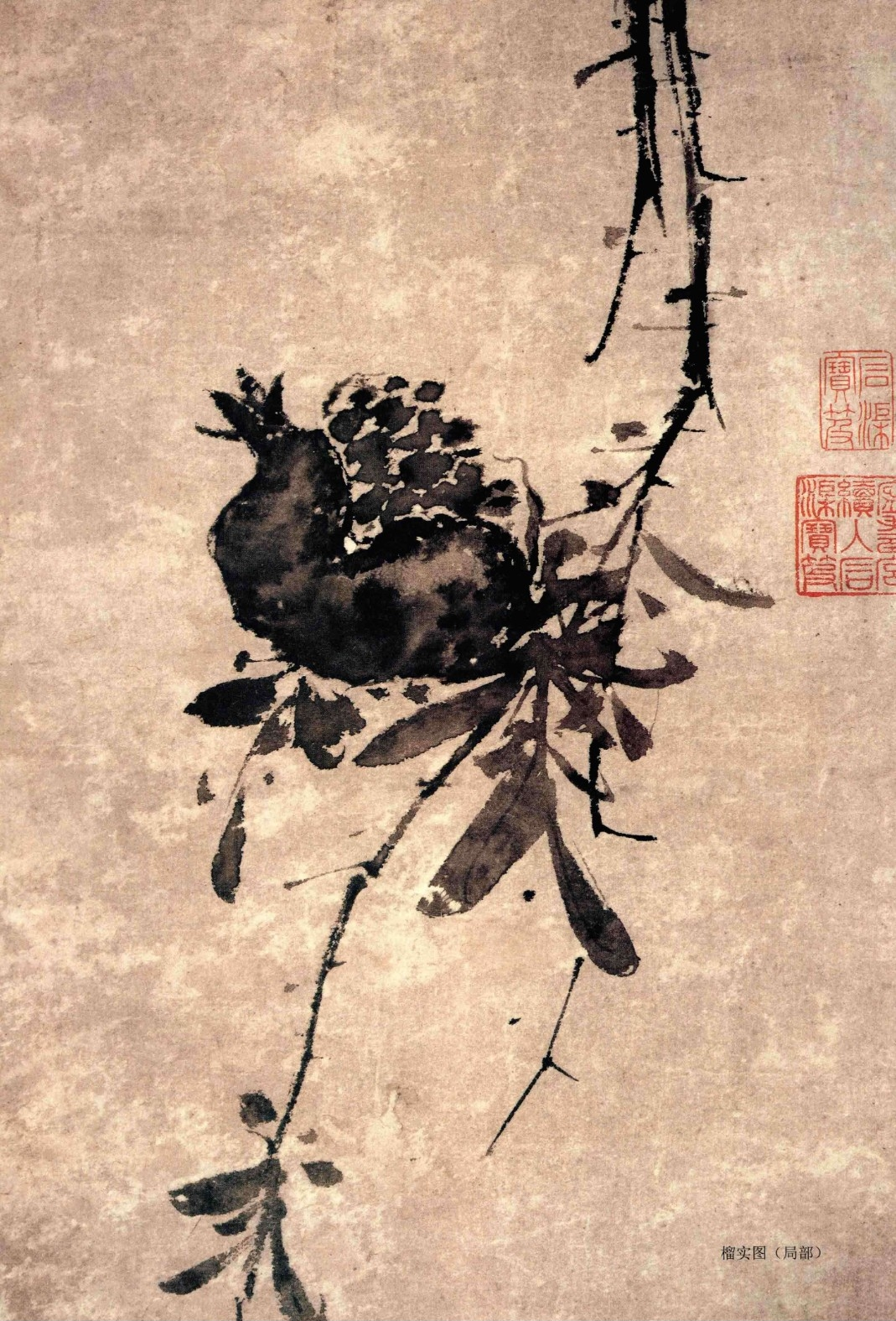《徐渭书画全集》 绘画卷 榴实图.png