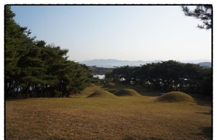 경북 경산시 유곡동 신지.png
