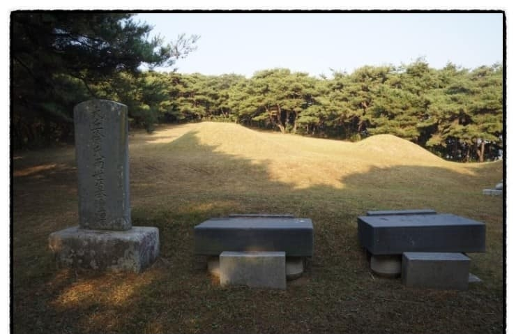 경북 경산시 유곡동 신지.png