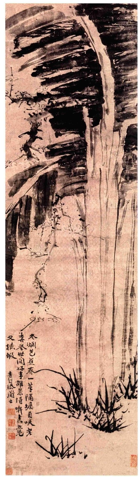 《徐渭书画全集》 绘画卷 芭蕉梅花图.png