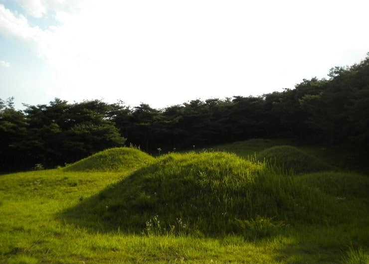 경북 경산시 유곡동 신지.png