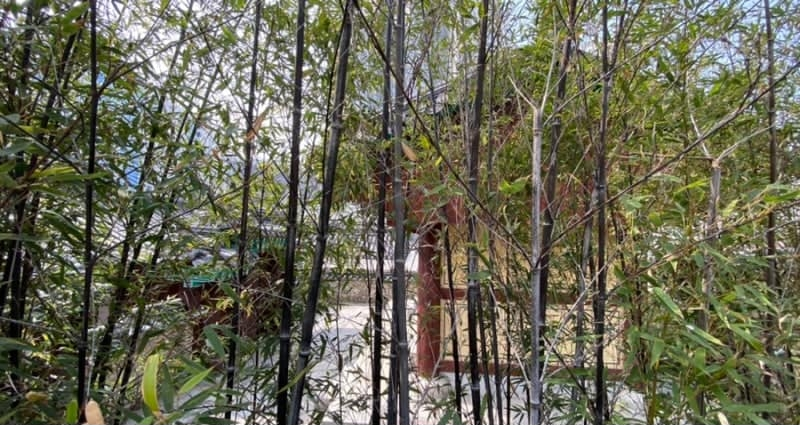 덕산서원.png