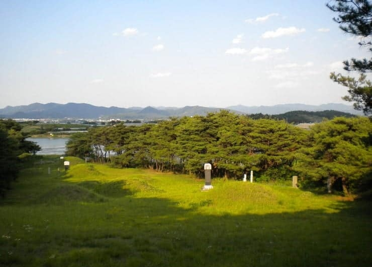 경북 경산시 유곡동 신지.png