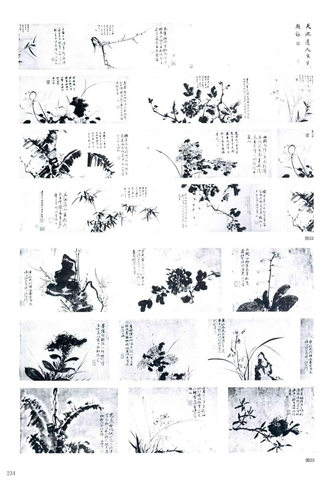 《徐渭书画全集》 绘画卷 作品补遗.png