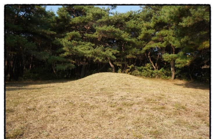 경북 경산시 유곡동 신지.png