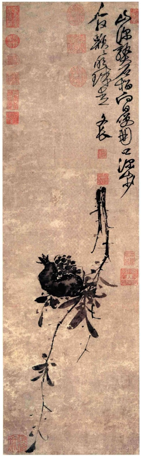 《徐渭书画全集》 绘画卷 榴实图.png