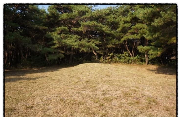 경북 경산시 유곡동 신지.png