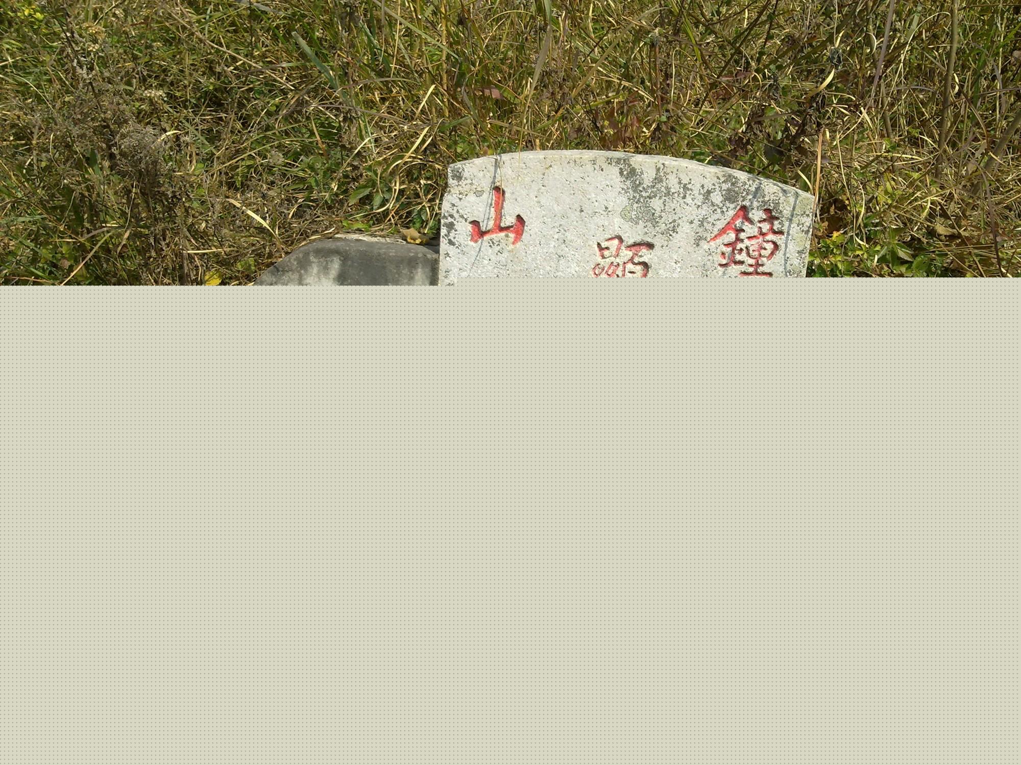 1d4f5c4be5a5a1ad_02_e5f804f4c8f1.jpg