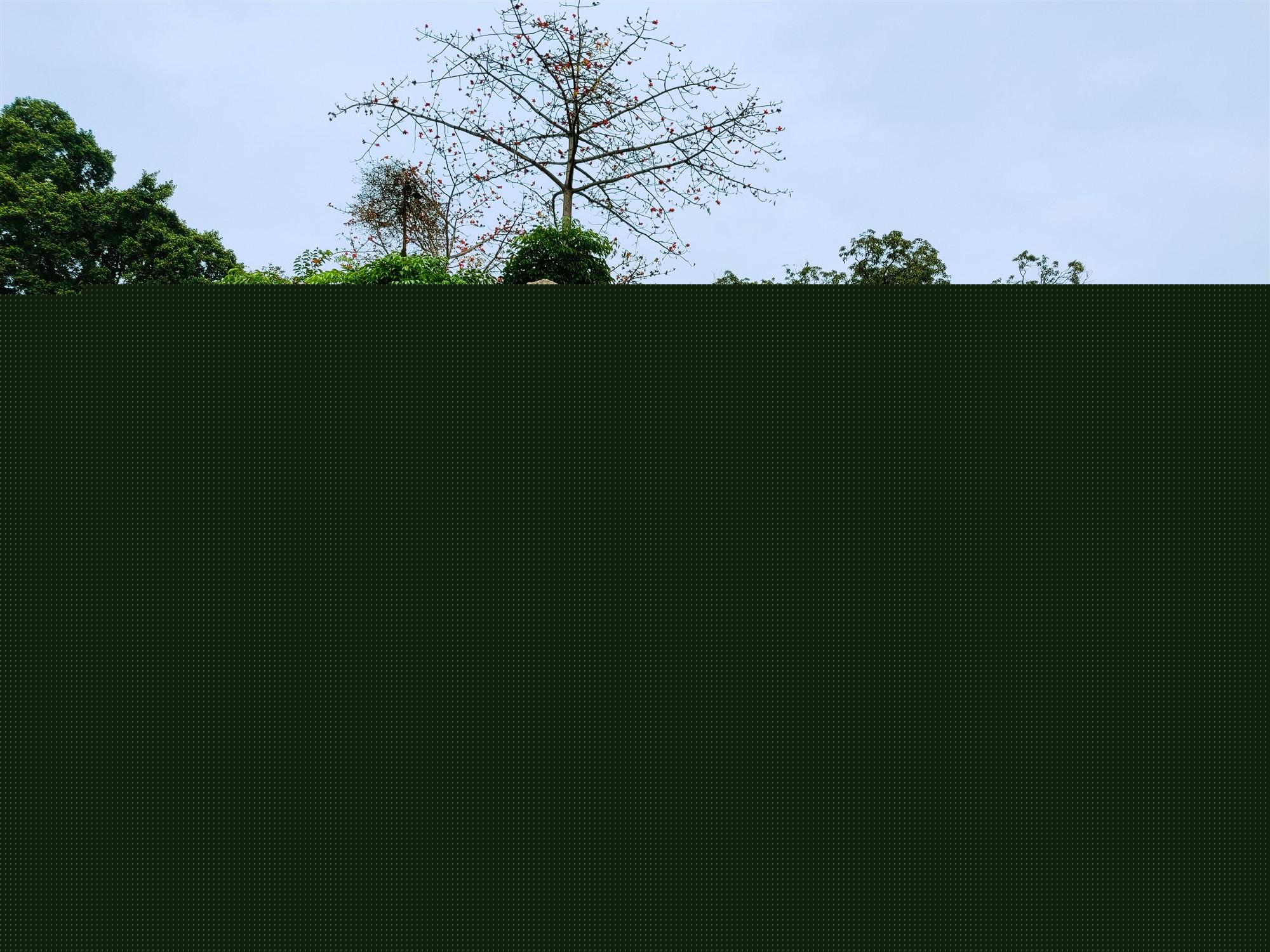 63e867050e30081a_10_dac61abf4cd2.jpg
