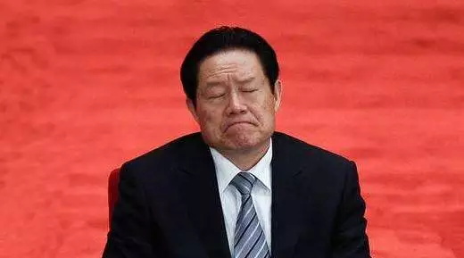 反腐高压下，张宰相教你坐稳官位（人物资料）.jpg