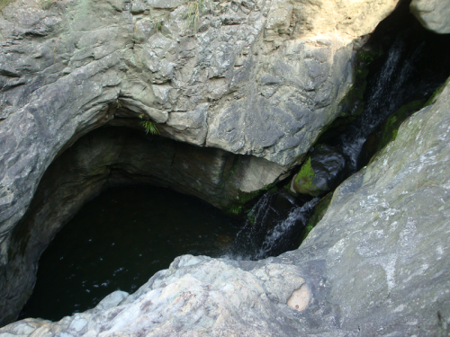 风生水起会有时 ——何宋卿大师香山考察记（文化辑录）.png