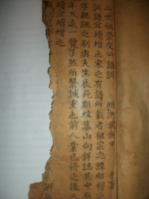 周氏族谱与《枕中纪》影像资料.jpg