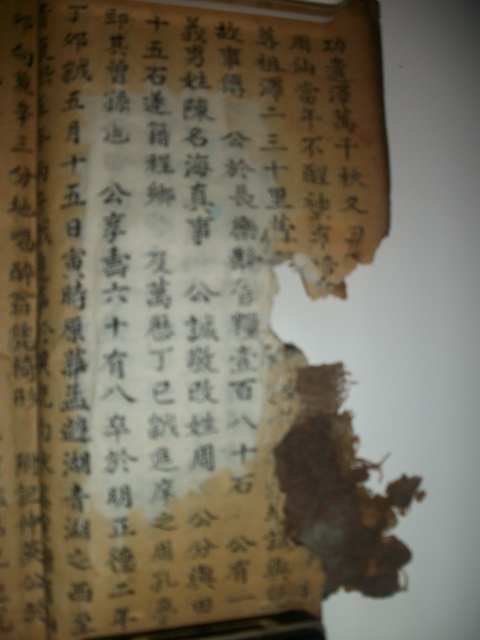 周氏族谱与《枕中纪》影像资料.jpg