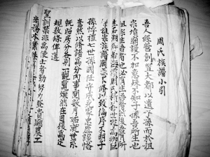 周姓族谱再次见证闽台血缘（谱牒资料）.jpg