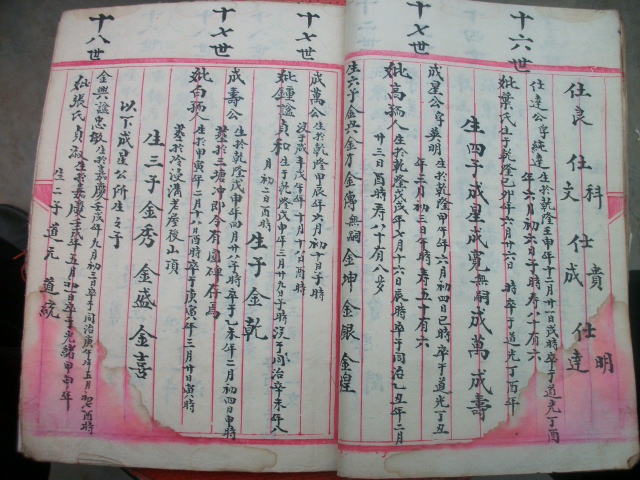 寻访结果：找到入川270年的一支族人（谱牒资料）.jpg