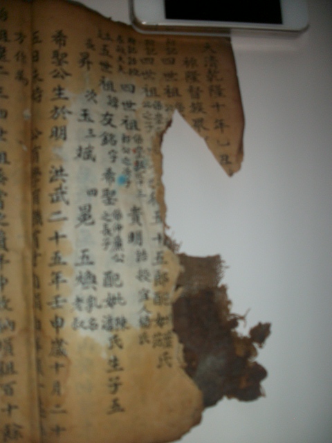 周氏族谱与《枕中纪》影像资料.jpg