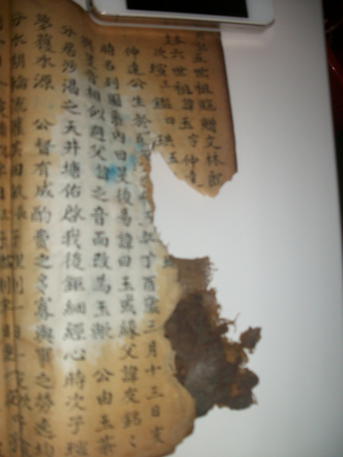 周氏族谱与《枕中纪》影像资料.jpg