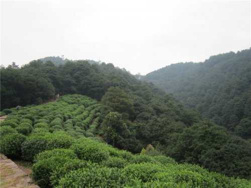 十里琅珰（文化辑录）.jpg