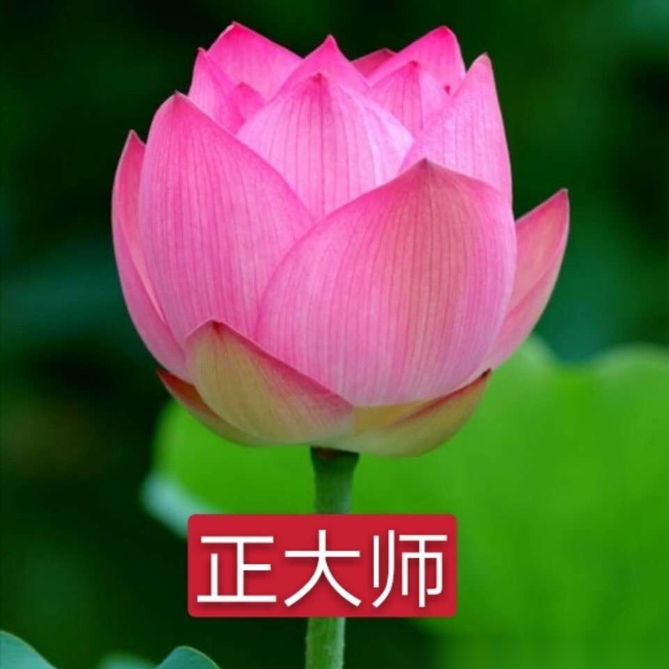 鸣谢兄弟宗亲们厚爱支持重立周恩荣堂（文化辑录）.png