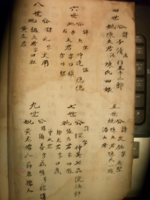 入川祖岐鳯公直系谱（谱牒资料）.jpg