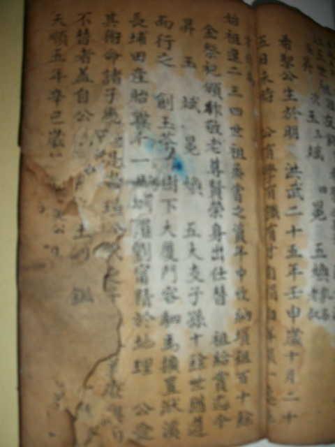 周氏族谱与《枕中纪》影像资料.jpg