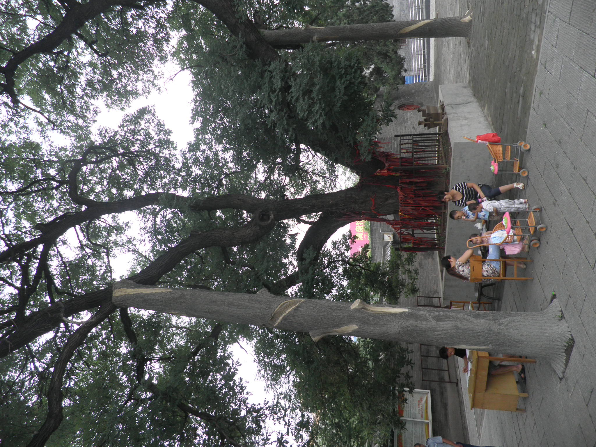 周时选总会长在洛阳周公庙（宗亲交流）.jpg