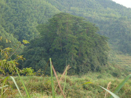 风生水起会有时 ——何宋卿大师香山考察记（文化辑录）.png