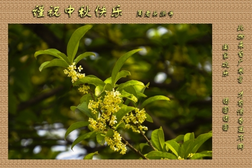 祝福全体宗亲中秋快乐（文化辑录）.jpg