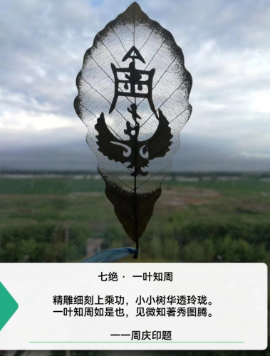 周庆印：一叶知周（文化辑录）.jpg