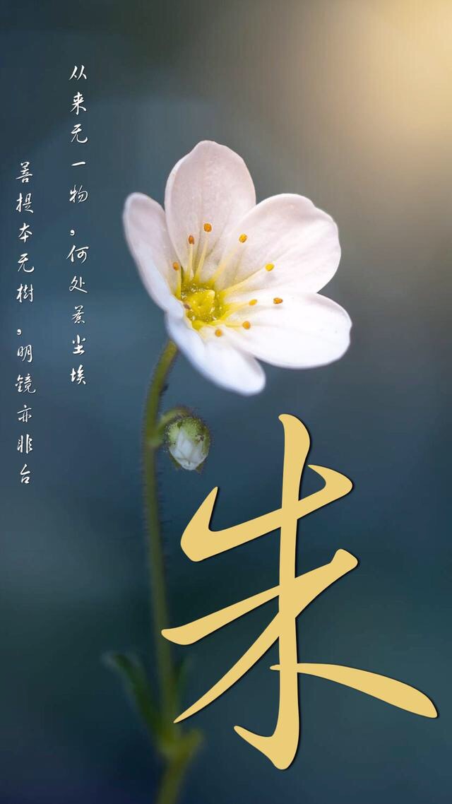 文化史料：前来报道！（文化史料）.jpg