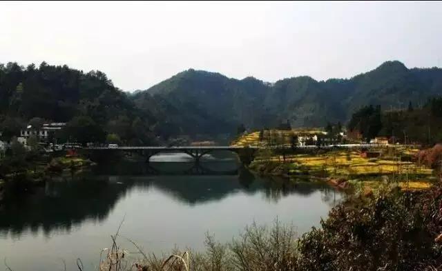 东山腰朱氏，枣庄古槐树下的鲁王后裔（文化史料）.jpg
