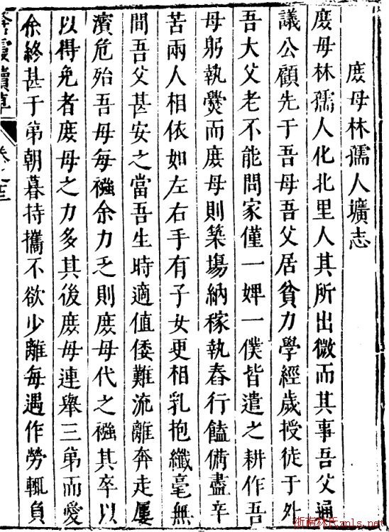ccaa103d19adb7b3_00_04c19c562c60.jpg