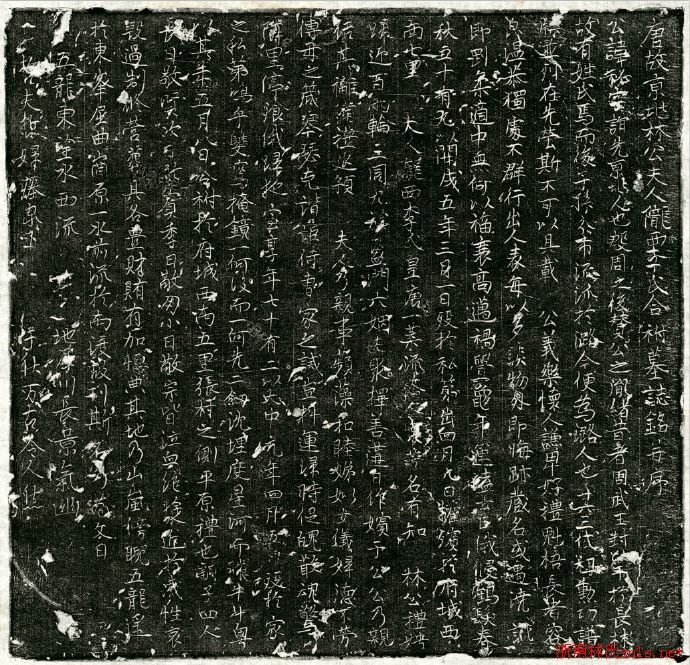 dc7b888dac487d9b_00_04a24a5172fa.jpg