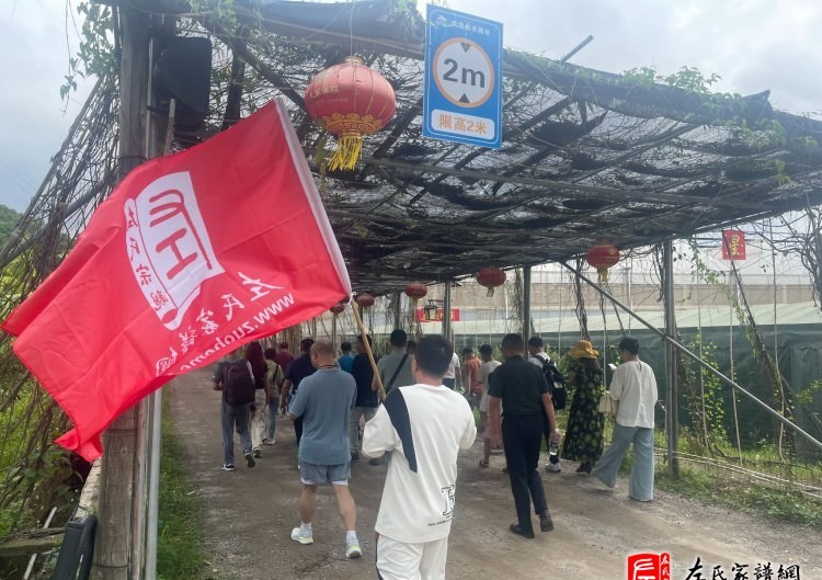 zuo_0271ee6ce59b2ea2951cdf.jpg