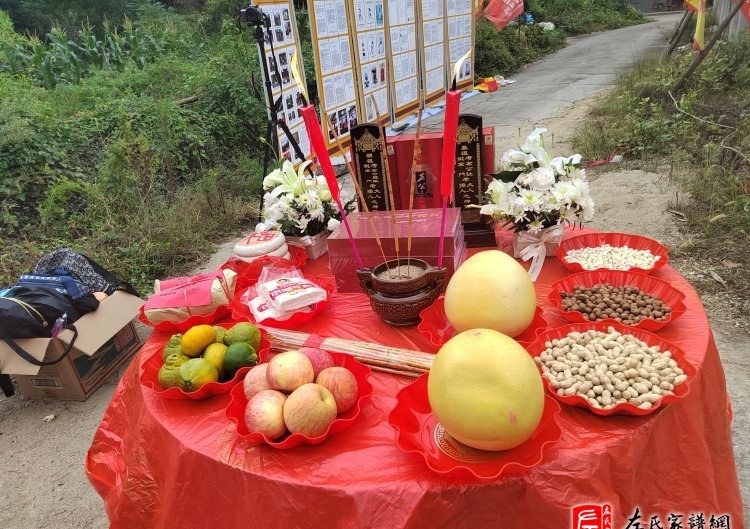 zuo_055e0b00e8bae31ec24cfe.jpg