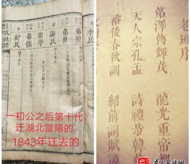 zuo_0843e0244ab134564b6f33.jpg