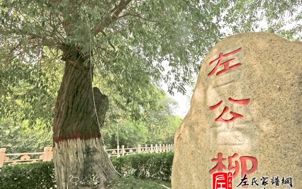 zuo_1c9fc6e1f350c1a7f832b9.jpg