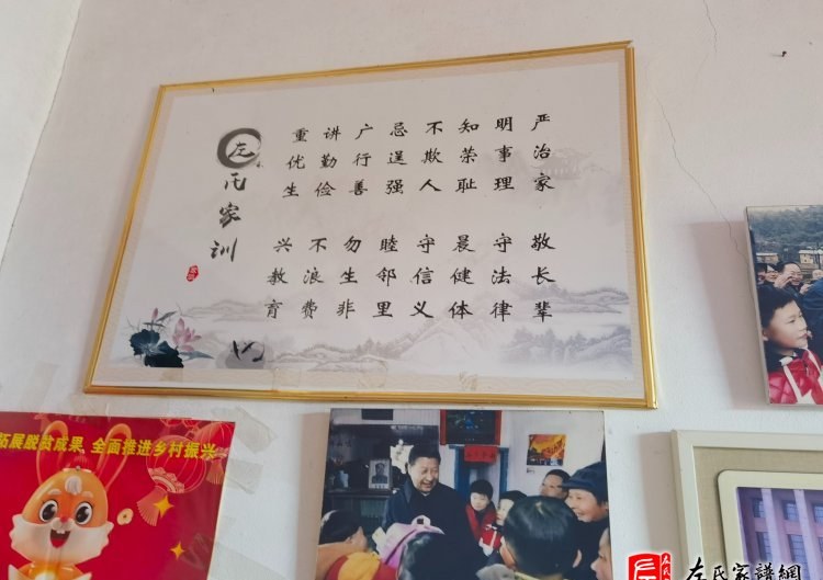 zuo_204173d05ba6ee942f832d.jpg
