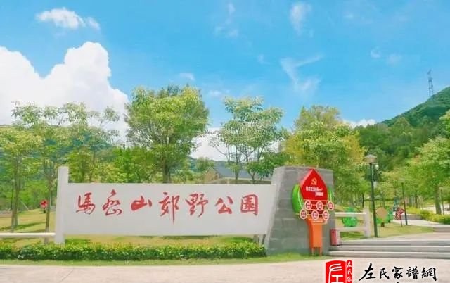 zuo_3388e131f893ad94b49520.jpg