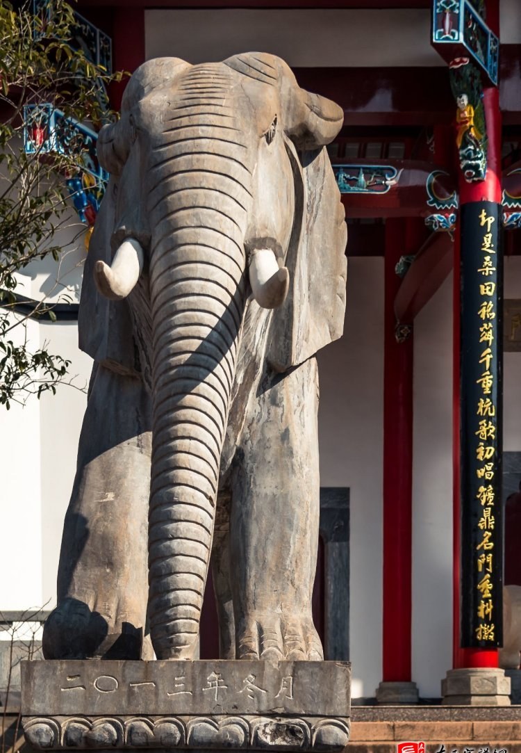 zuo_47a232d8621f1fa670a6a0.jpg
