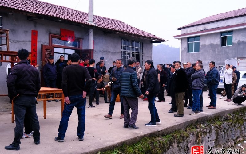 zuo_6131f59442666a18c7cb59.jpg
