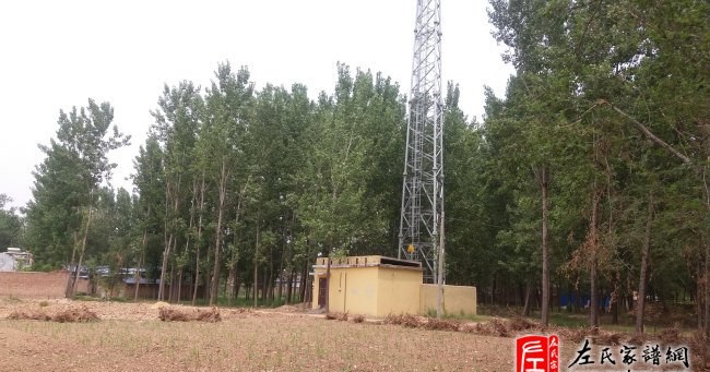 zuo_82eed46c7143f10097fd4d.jpg