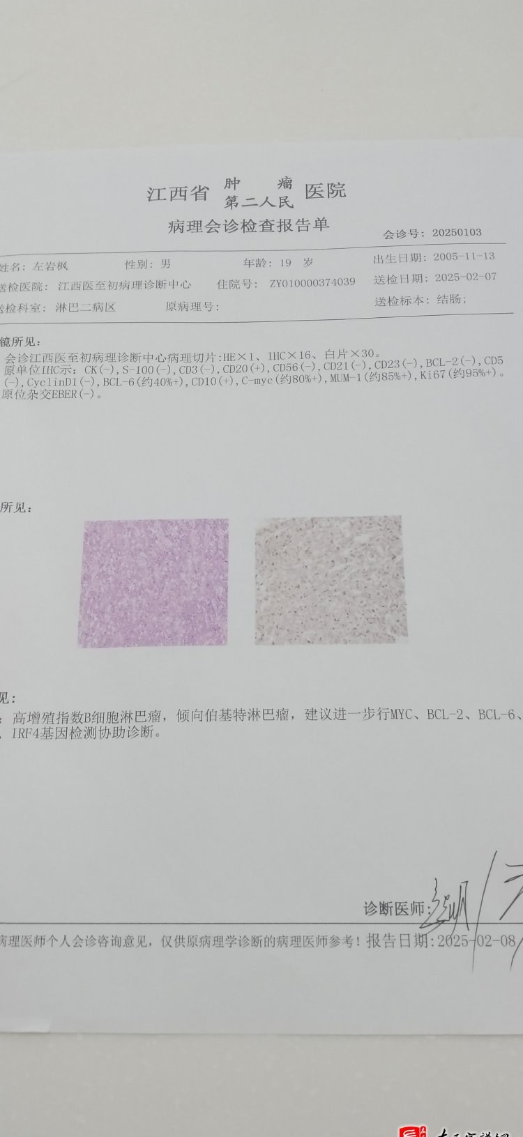 zuo_8acfa6b9235b380d434c11.jpg