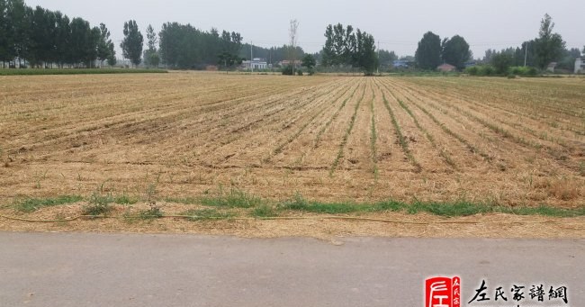 zuo_8d7c89a4dea1896425373a.jpg