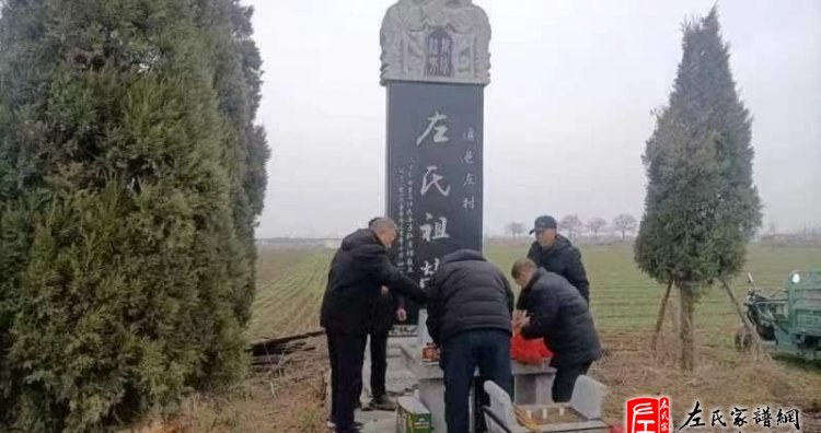 zuo_add92855f9d2699df4cfda.jpg