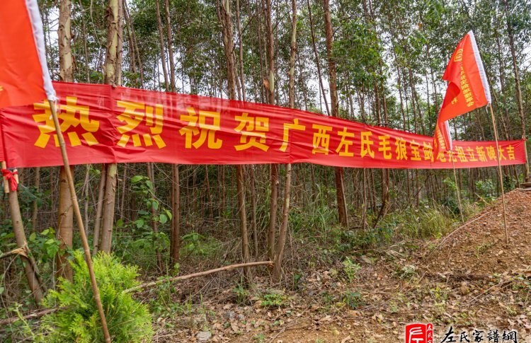 zuo_b863c0cfef331ccaeb0d1f.jpg